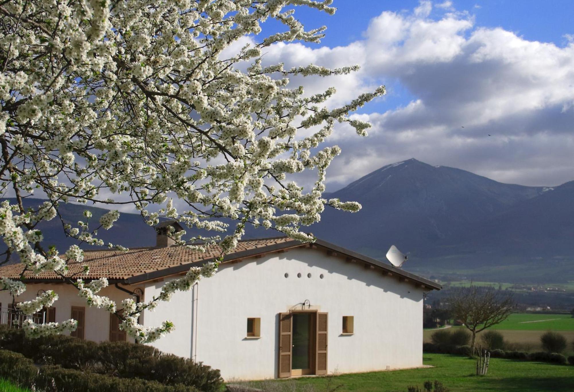 Agriturismo La Cascina Di Opaco Норчія Екстер'єр фото
